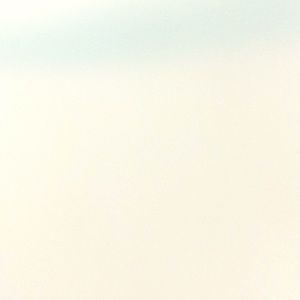 Meet your Posher, Rhiannon